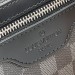 Сумка Louis Vuitton S1434